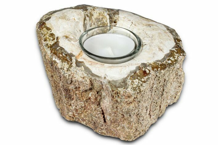 Polished Petrified Wood Candle Holder - Madagascar #337573